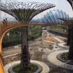 singapur - suni orman-5