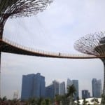 singapur - suni orman-6