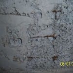 segregasyon -2