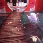 12295375_1095585097148888_7410788506736057040_n