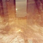 12316620_1095585183815546_7529303088598699573_n