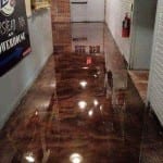 12342339_1095585443815520_8064445315426716019_n