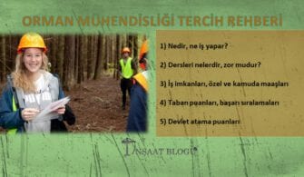 orman mühendisliği maaşları, iş imkanları, taban puanları ve başarı sıralamaları
