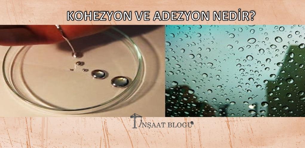 kohezyon ve adezyon nedir