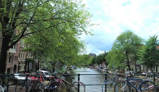 Hollanda’da Nasıl İş Bulunur