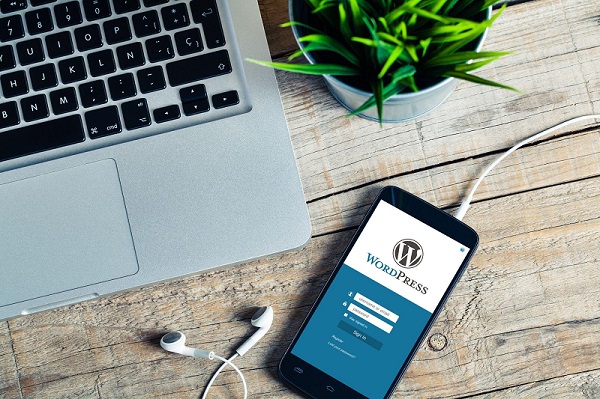En Hızlı ve Kolay Yönetilebilen WordPress Hosting