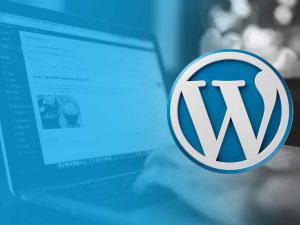 WordPress-Kolay-mi