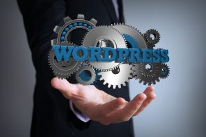 WordPress SEO Ayarları