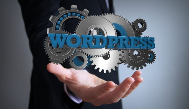 WordPress SEO Ayarları