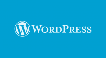 WordPress Tablo Ekleme