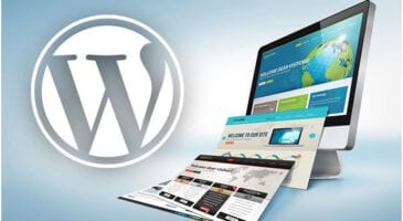 WordPress-tema-degistirmek-SEO