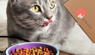 aylik-abonelik-kedi-kutusu-mama