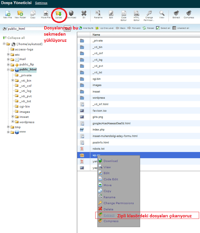 cpanel dosya aktarımı