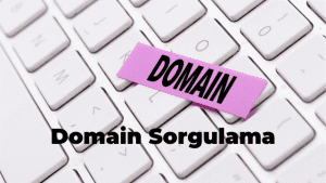 domain sorgulama