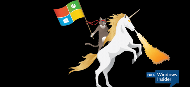 Windows 10 Insider programına nasıl dahil olunur?