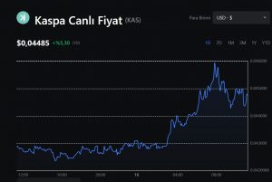 kaspa coin