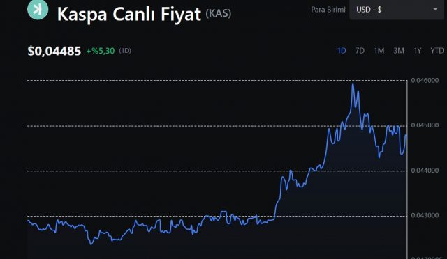 kaspa coin