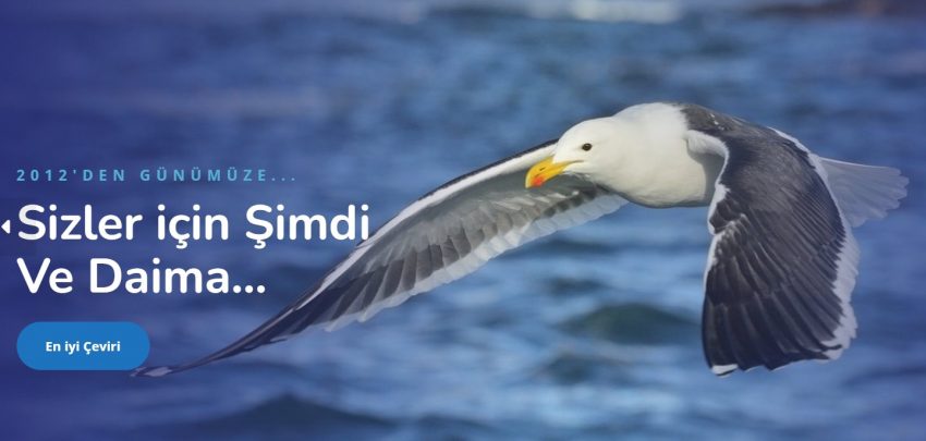 Yeminli Tercüme Bürosu ve Türkçe İngilizce Çeviri