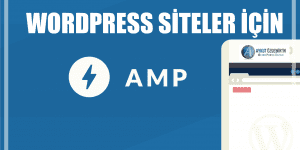 wordpress amp
