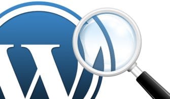 wordpress-gelişmiş-arama