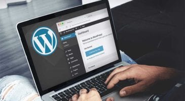 wordpress-para-kazanma-yollari