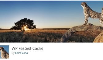 wp-cache